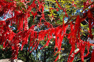 《尼克儿童频道全明星大乱斗2》将推出四名DLC角色